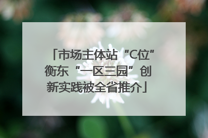 市场主体站“C位” 衡东“一区三园”创新实践被全省推介