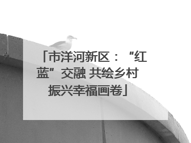 市洋河新区：“红蓝”交融 共绘乡村振兴幸福画卷