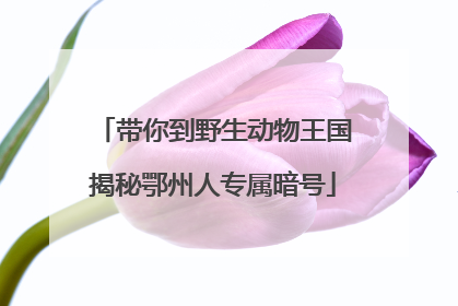 带你到野生动物王国揭秘鄂州人专属暗号