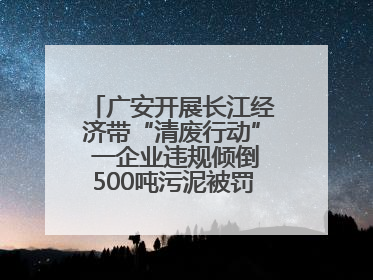 广安开展长江经济带“清废行动” 一企业违规倾倒500吨污泥被罚8万元
