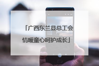 广西东兰县总工会情暖童心呵护成长