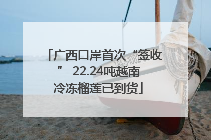 广西口岸首次“签收” 22.24吨越南冷冻榴莲已到货