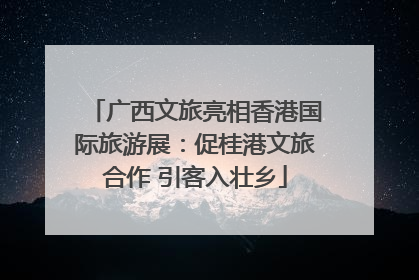 广西文旅亮相香港国际旅游展：促桂港文旅合作 引客入壮乡