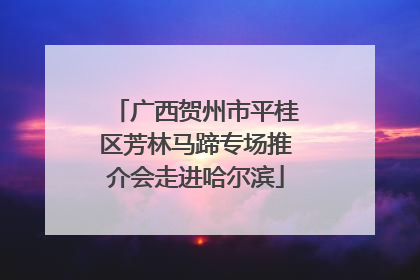 广西贺州市平桂区芳林马蹄专场推介会走进哈尔滨