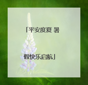 平安度夏 暑假快乐启航