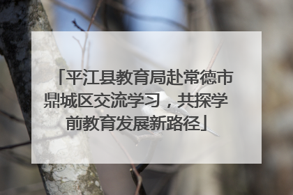 平江县教育局赴常德市鼎城区交流学习，共探学前教育发展新路径