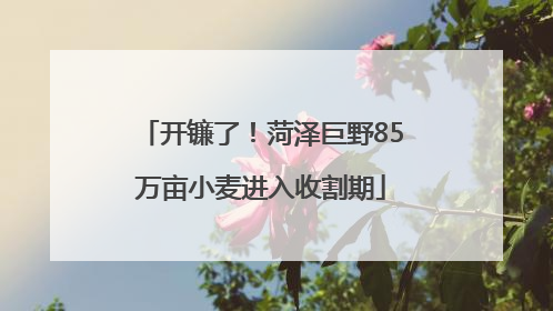 开镰了！菏泽巨野85万亩小麦进入收割期