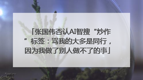 张国伟否认AI智搜“炒作”标签：骂我的大多是同行，因为我做了别人做不了的事
