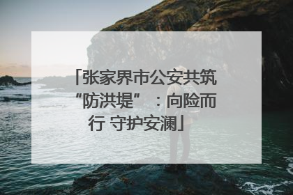 张家界市公安共筑“防洪堤”：向险而行 守护安澜