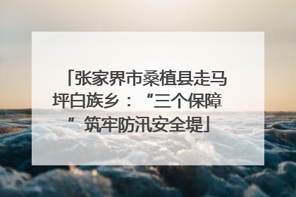张家界市桑植县走马坪白族乡：“三个保障”筑牢防汛安全堤