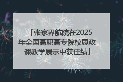 张家界航院在2025年全国高职高专院校思政课教学展示中获佳绩