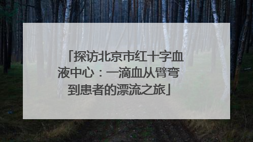 探访北京市红十字血液中心：一滴血从臂弯到患者的漂流之旅