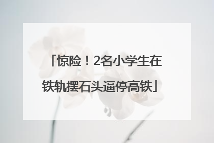 惊险！2名小学生在铁轨摆石头逼停高铁