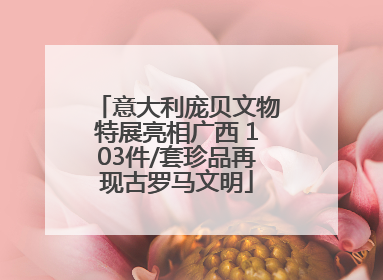 意大利庞贝文物特展亮相广西 103件/套珍品再现古罗马文明