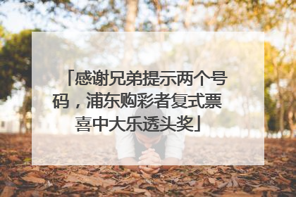 感谢兄弟提示两个号码，浦东购彩者复式票喜中大乐透头奖