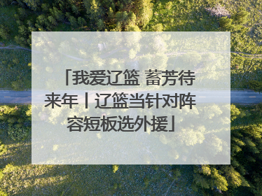 我爱辽篮 蓄芳待来年丨辽篮当针对阵容短板选外援