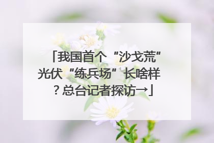 我国首个“沙戈荒”光伏“练兵场”长啥样？总台记者探访→
