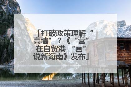 打破政策理解“高墙”？《“营”在自贸港 “画”说新海南》发布