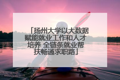 扬州大学以大数据赋能就业工作和人才培养 全链条就业帮扶畅通求职路