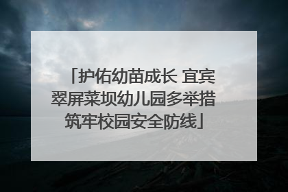 护佑幼苗成长 宜宾翠屏菜坝幼儿园多举措筑牢校园安全防线