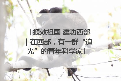 报效祖国 建功西部｜在西部，有一群“追光”的青年科学家
