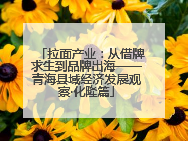 拉面产业：从借牌求生到品牌出海——青海县域经济发展观察·化隆篇