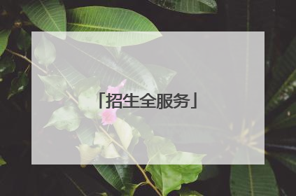 招生全服务