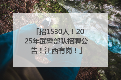 招1530人！2025年武警部队招聘公告！江西有岗！