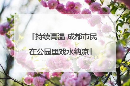 持续高温 成都市民在公园里戏水纳凉