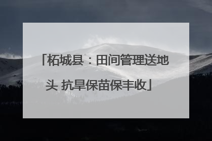 柘城县：田间管理送地头 抗旱保苗保丰收