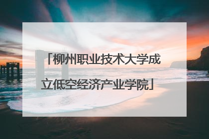 柳州职业技术大学成立低空经济产业学院
