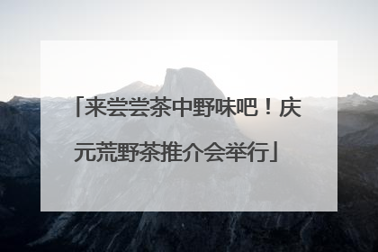 来尝尝茶中野味吧！庆元荒野茶推介会举行