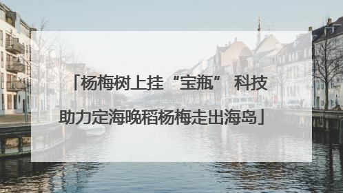 杨梅树上挂“宝瓶” 科技助力定海晚稻杨梅走出海岛