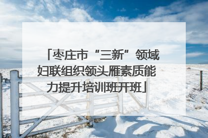 枣庄市“三新”领域妇联组织领头雁素质能力提升培训班开班