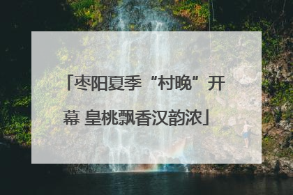 枣阳夏季“村晚”开幕 皇桃飘香汉韵浓