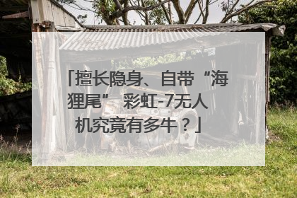擅长隐身、自带“海狸尾” 彩虹-7无人机究竟有多牛？
