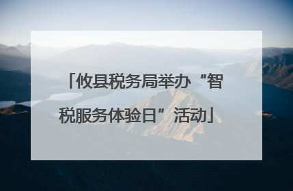 攸县税务局举办“智税服务体验日”活动