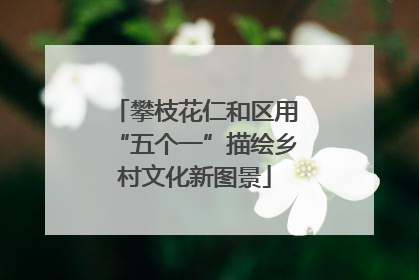 攀枝花仁和区用“五个一”描绘乡村文化新图景