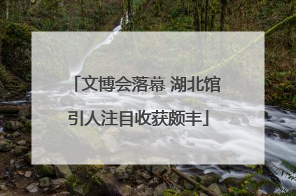 文博会落幕 湖北馆引人注目收获颇丰