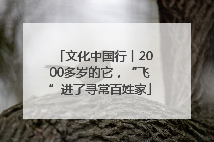 文化中国行丨2000多岁的它，“飞”进了寻常百姓家