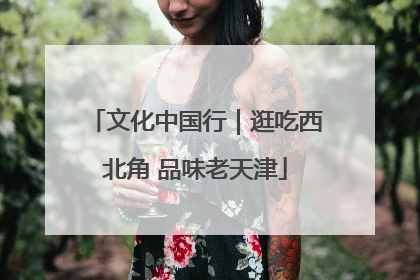 文化中国行｜逛吃西北角 品味老天津