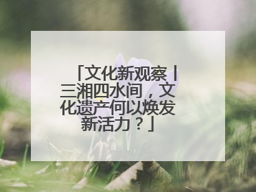 文化新观察丨三湘四水间，文化遗产何以焕发新活力？