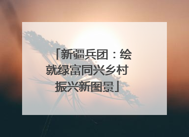 新疆兵团：绘就绿富同兴乡村振兴新图景