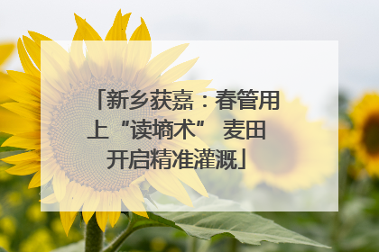 新乡获嘉：春管用上“读墒术” 麦田开启精准灌溉