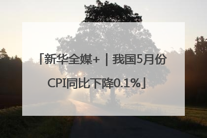 新华全媒+｜我国5月份CPI同比下降0.1%