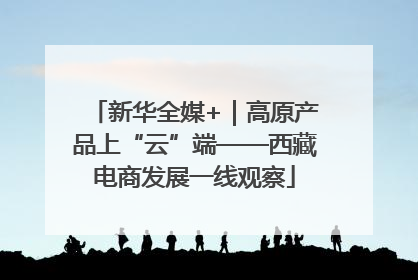 新华全媒+｜高原产品上“云”端——西藏电商发展一线观察
