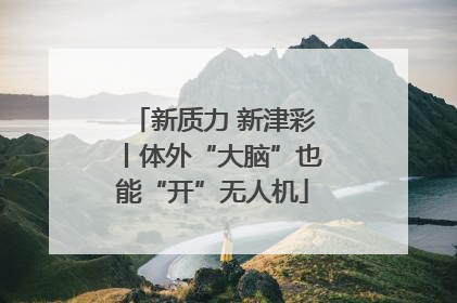 新质力 新津彩丨体外“大脑”也能“开”无人机