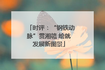 时评：“钢铁动脉”贯湘赣 绘就发展新图景