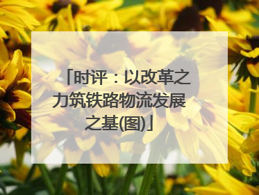 时评：以改革之力筑铁路物流发展之基(图)