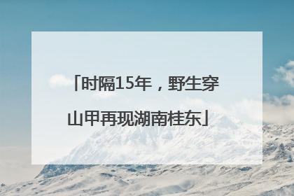 时隔15年，野生穿山甲再现湖南桂东